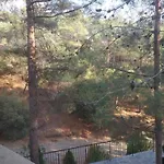 Mountain *